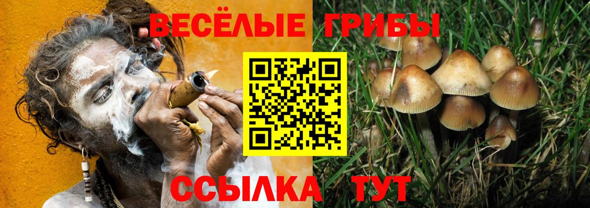 Шебекино  Галлюциногенные грибы мицелий  Вход с VPN 