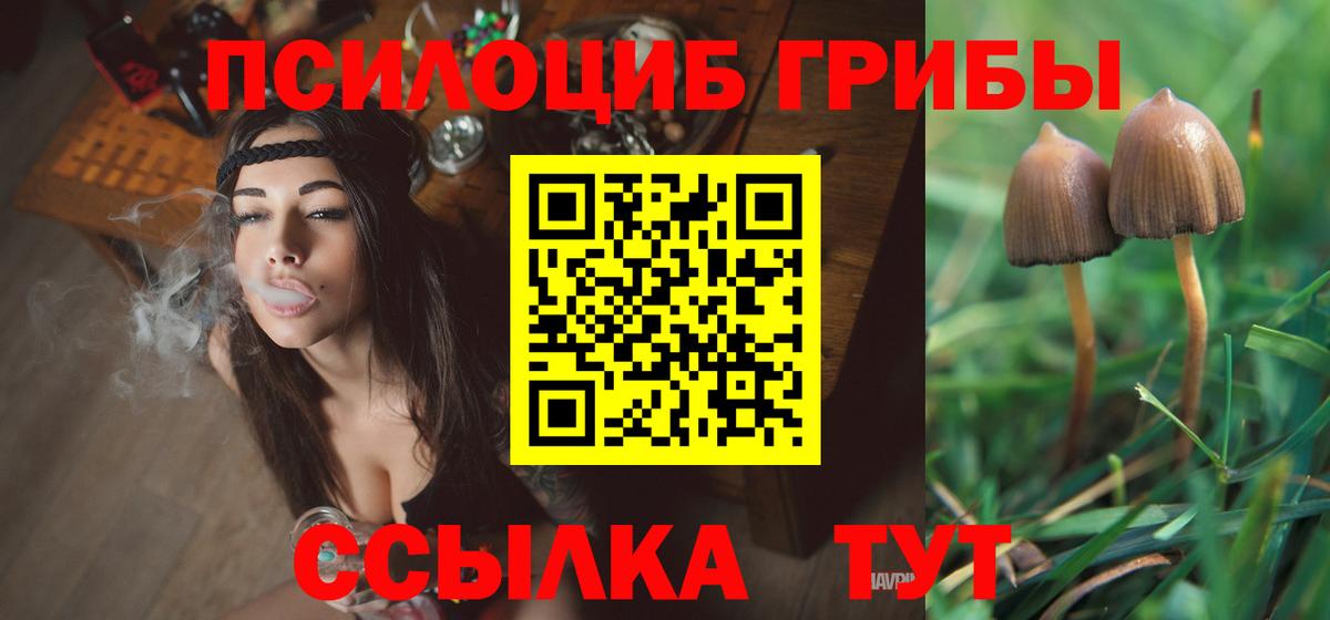 Псилоцибиновые грибы GOLDEN TEACHER Шебекино